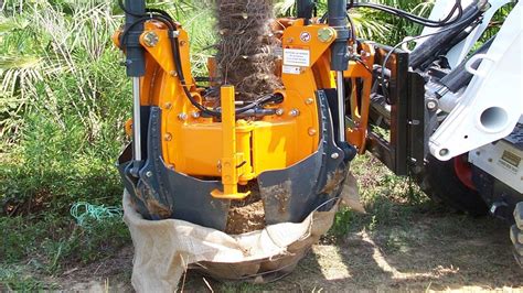 skid steer tree spade for sale|optimal tree spade for sale.